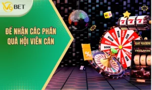 Để nhận các phần quà hội viên cần?