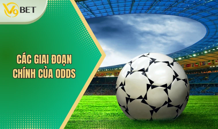 Odds Là Gì? 4 Loại Hình Odds Phổ Biến Bạn Nên Nắm Rõ 4 Các giai đoạn chính của Odds